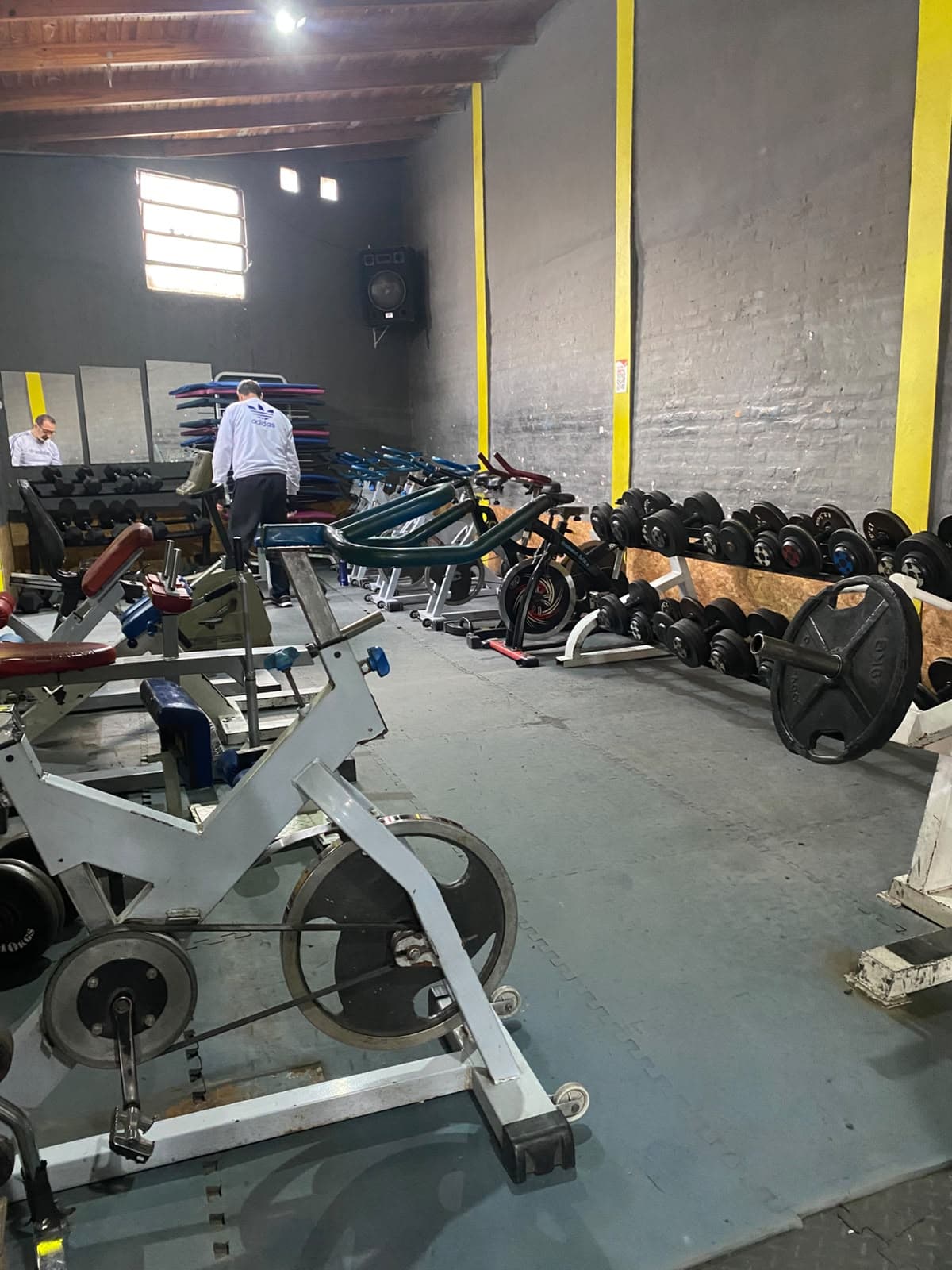 Mancuernas, discos y bicicletas en el sector de pesas libres