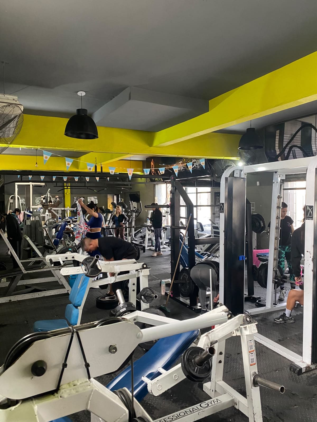 Máquinas de musculación y bancos en la sala de HalterGym